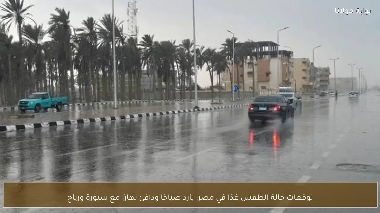 حالة الطقس في مصر غدًا: طقس بارد صباحًا ودافئ نهارًا مع رياح وشبورة